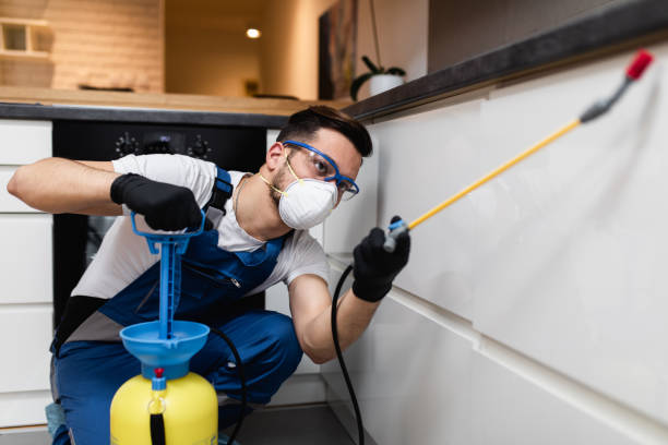 Best Pest Control for Homes  in Baldwin, MI