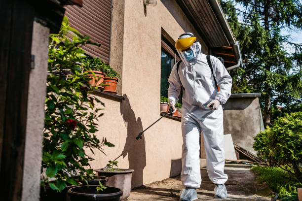 Best Flea Control Services  in Baldwin, MI