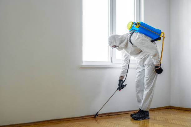 Best Wildlife Control Services  in Baldwin, MI