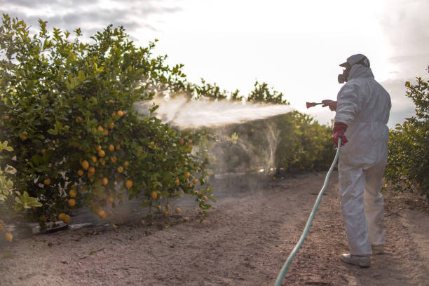 Best Emergency Pest Control  in Baldwin, MI