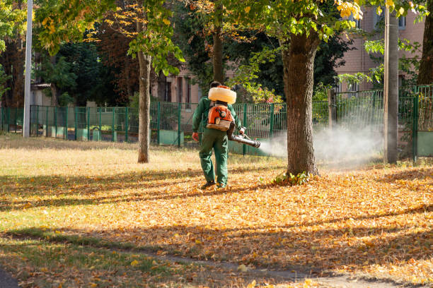 Best Local Pest Control Services  in Baldwin, MI
