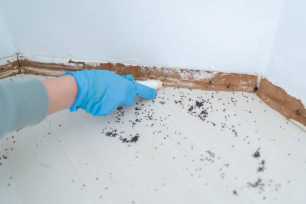 Best Cockroach Control Services  in Baldwin, MI
