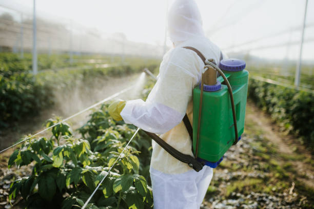 Best Exterminator Services  in Baldwin, MI